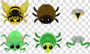 Mantis Png  Transparent Png