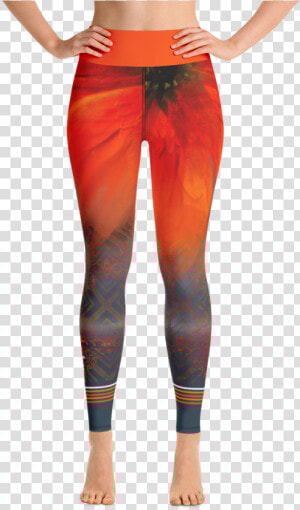 Transparent Perception Png   Leggings  Png Download