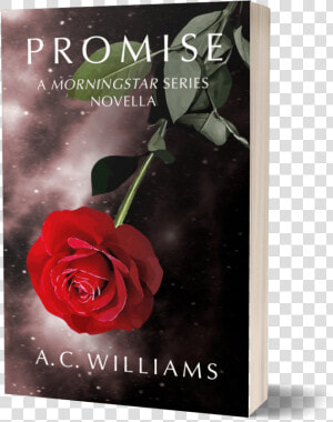 Promise Cover Book Soft   Garden Roses  HD Png Download