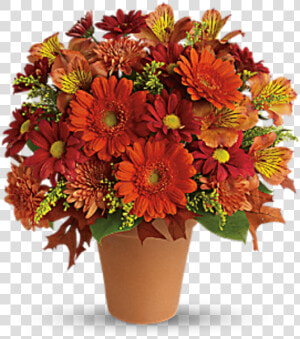 Golden Glow Tf   Golden Glow Teleflora  HD Png Download