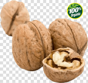 English Walnut Png Image Background   Expensive Nuts  Transparent Png