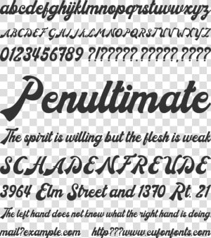 Donatello Font Preview   Calligraphy  HD Png Download