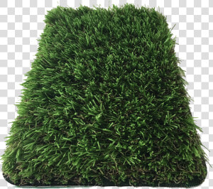 Hedge  HD Png Download