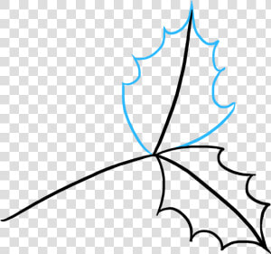 Holly Drawing Mistletoe   Holly Drawing  HD Png Download