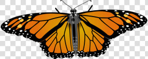 File   Monarch Butterfly   Svg   Monarch Butterfly Copyright Free  HD Png Download