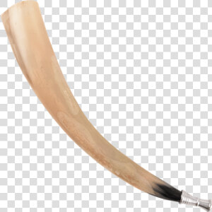 Ivory  HD Png Download