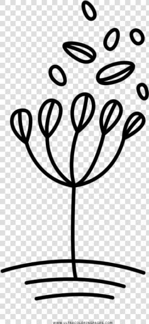 Hierba Página Para Colorear   Illustration  HD Png Download