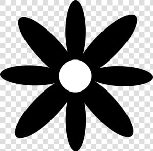 Silhouette  Spring  Daisy  Flower   Daisy Flower Silhouette  HD Png Download