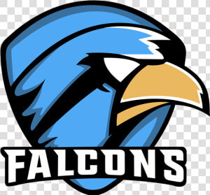 Transparent Toxic Logo Png   Toxic Falcons  Png Download