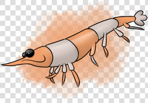 Kridro  The Krill Fakemon   Cartoon Krill Drawing  HD Png Download