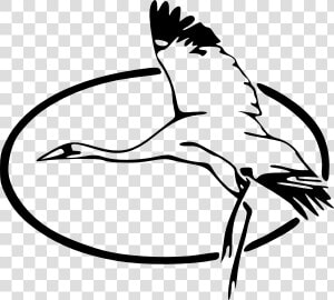 Heron Clip Art  HD Png Download