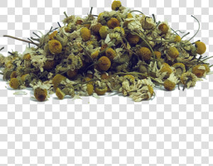 Spices Png  Transparent Png