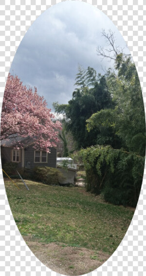 Yard  HD Png Download
