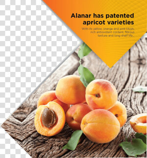 Apricot   Fruits Et Légumes Qui On Du Fer  HD Png Download