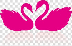 Cygnini Drawing Clip Art   Swan Couple Clipart  HD Png Download