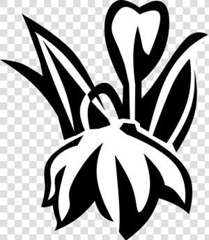 Vector Illustration Of Blue Eyed Grass Satin Flower   Emblem  HD Png Download