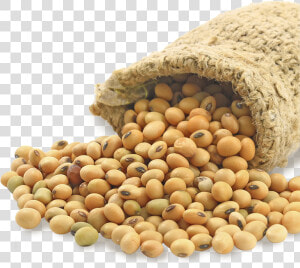 Soybeans Png  Transparent Png