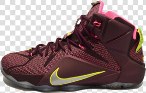 Lebron 12 Double Helix   Nike Free  HD Png Download