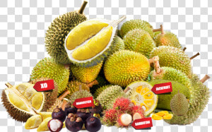 Transparent Durian Png   Durian Png  Png Download