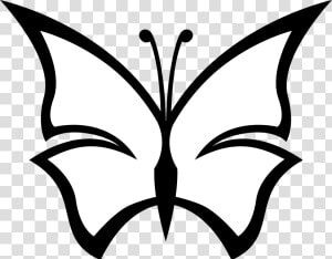 White Butterfly Png Pictures   Butterfly Clipart Black And White  Transparent Png