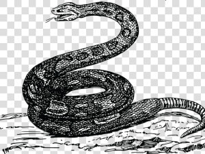 Transparent Clipart Of Snake   Snek Meme Tread On Me  HD Png Download
