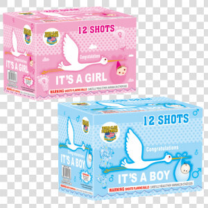 It S A Boy   It S A Girl Gender Reveal Firework   Its A Girl Fireworks  HD Png Download