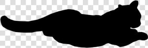 Cat Relaxed   Black Cat Gif Png  Transparent Png