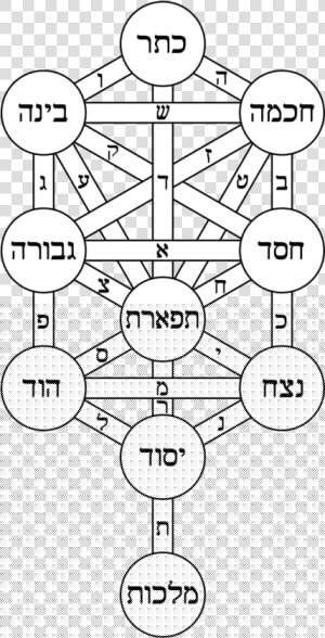 Kabbalah Tree Of Life  HD Png Download