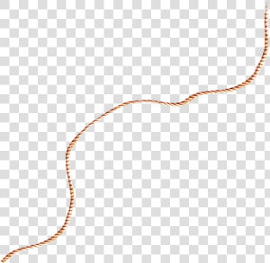  longrope  rope  catch  attach  ropetwist  string   Pet An Animal  HD Png Download