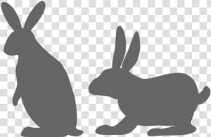 Rabbit Image Vector Example Image   Hare  HD Png Download