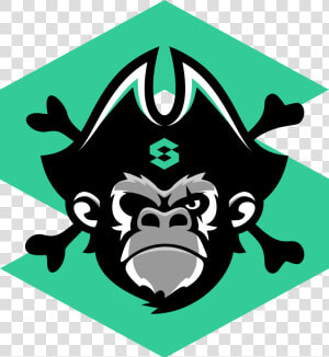 Monkey 614 Kb   Illustration Pirate Monkey Vector  HD Png Download