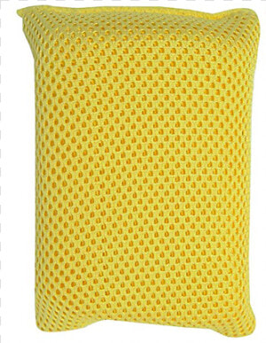 Bug Sponge   Cushion  HD Png Download