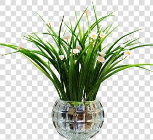 Small Fresh Indoor Potted Plant Simulation Living Room   Pogostemon Stellatus Eusteralis Stellata  HD Png Download