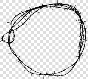 Barbwire Png Photo   Barbed Wire Circle Png  Transparent Png