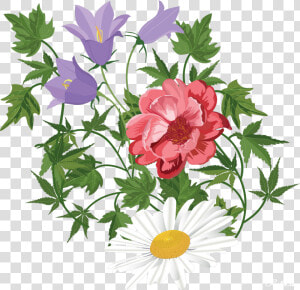 Flower Floral Design Clip Art Transprent   Transparent Background Flowers Clipart  HD Png Download