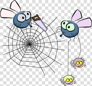 Flies Mosquito Spider Free Photo   Spider Web Png Corner  Transparent Png