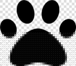 Font Awesome 5 Solid Paw  HD Png Download
