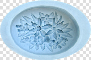 Echeveria  HD Png Download