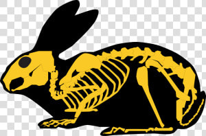 Gold Rabbit Skeleton And Silhouette   Rabbit Skeleton Silhouette  HD Png Download