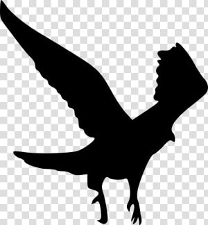 Bird Clip Art   Silhouette Wedge Tail Eagle  HD Png Download