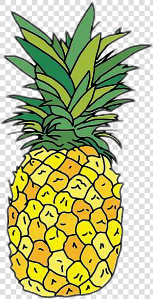Cute Stickers Pineapple Clipart   Png Download   Hydro Flask Stickers Pineapple  Transparent Png
