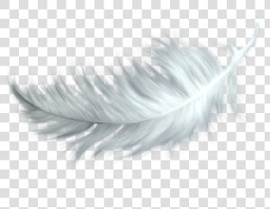  draingang  sadboys  sadboys2001  cyber  tumblr  aesthetic   Feather Transparent Background  HD Png Download