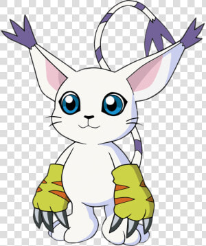 Digimon Character Gatomon   Digimon Gatomon  HD Png Download