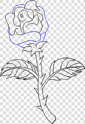 How To Draw Rose With A Stem   Draw A Rose With Stem  HD Png Download