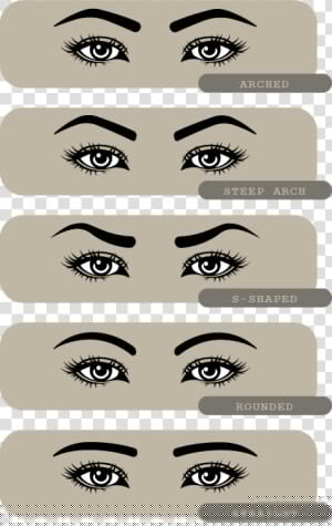 Eyebrow Shape   Illustration  HD Png Download