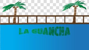 Some Of My Rejected Geofilters   Attalea Speciosa  HD Png Download