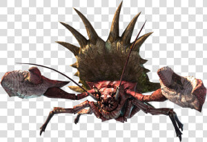 Monster Hunter Generations Daimyo Hermitaur  HD Png Download