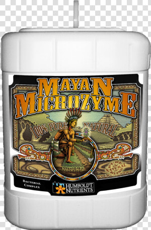 Mayan Png  Transparent Png
