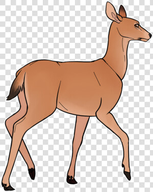 Mule Doe By Kajuale   Deer  HD Png Download