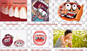 Common Causes Of Bad Breath Or Halitosis  HD Png Download